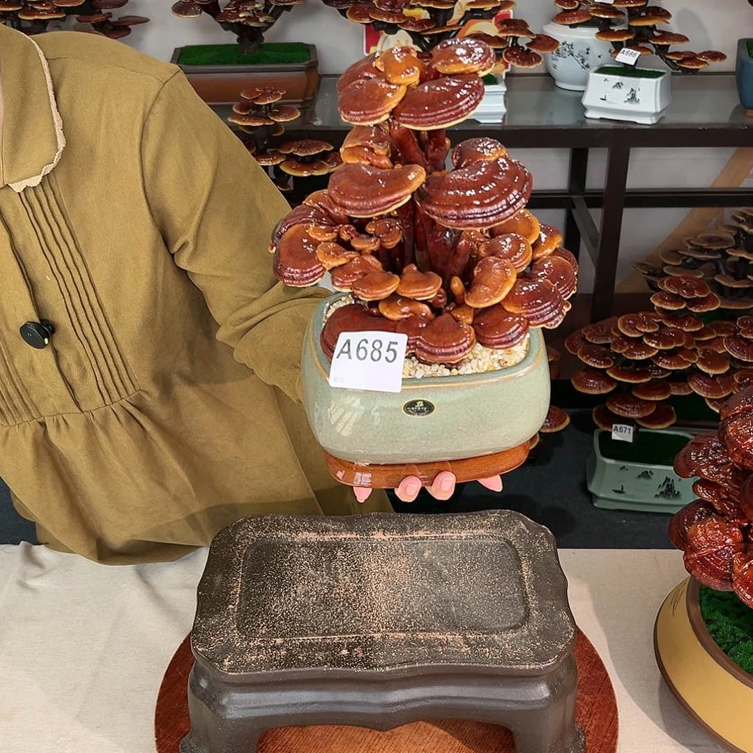 万事如意888888888888