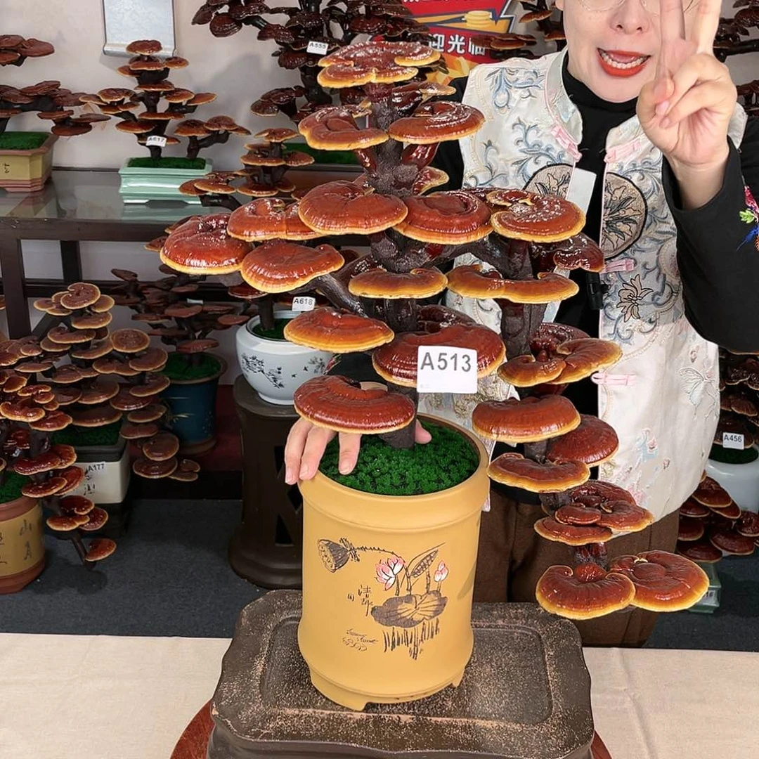 万事如意88888888888