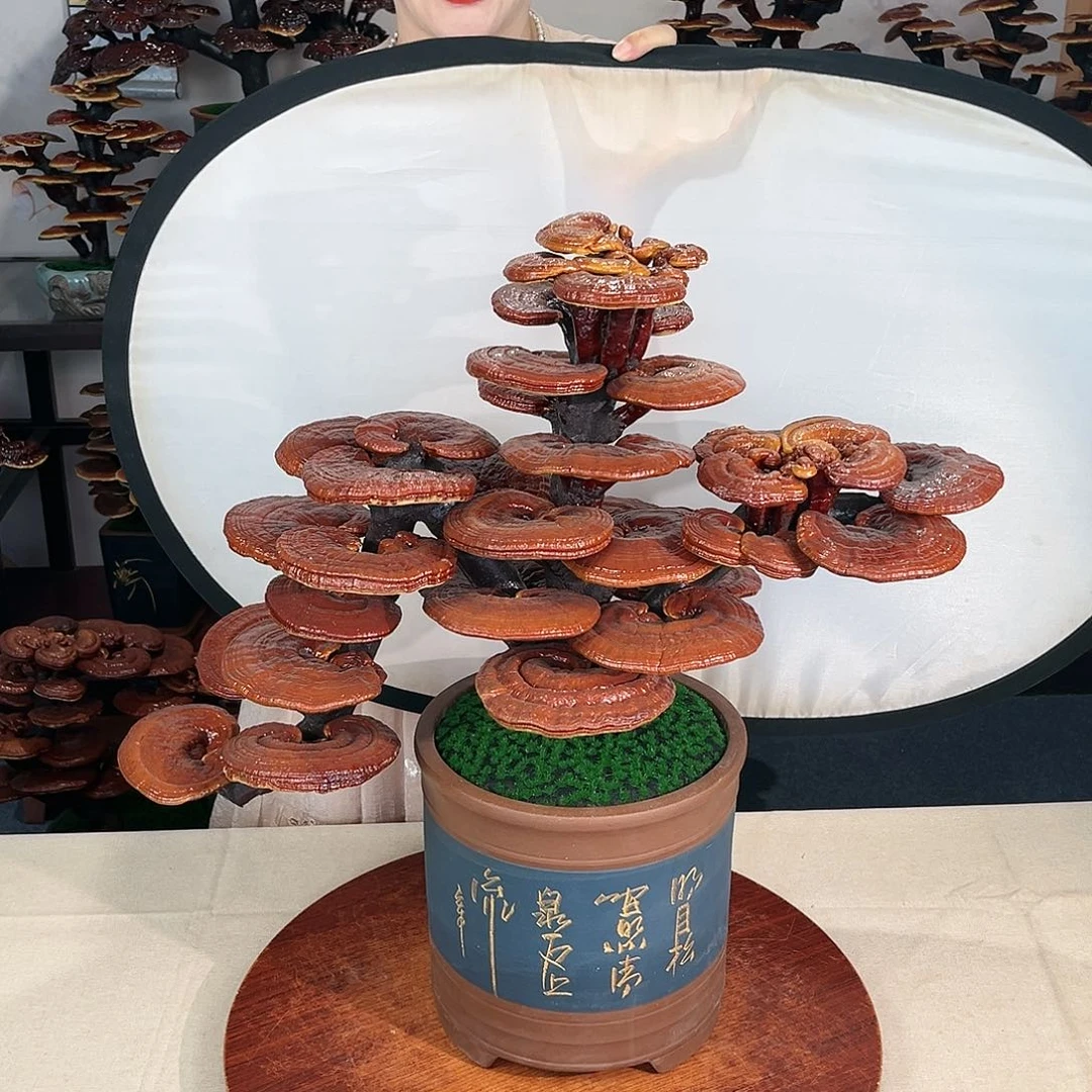 万事如意888888888