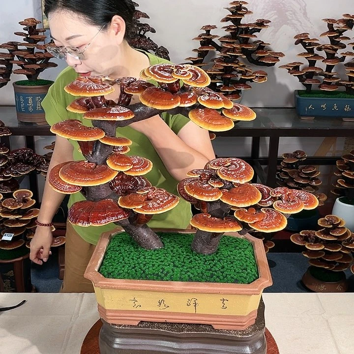 万事如意8888888888