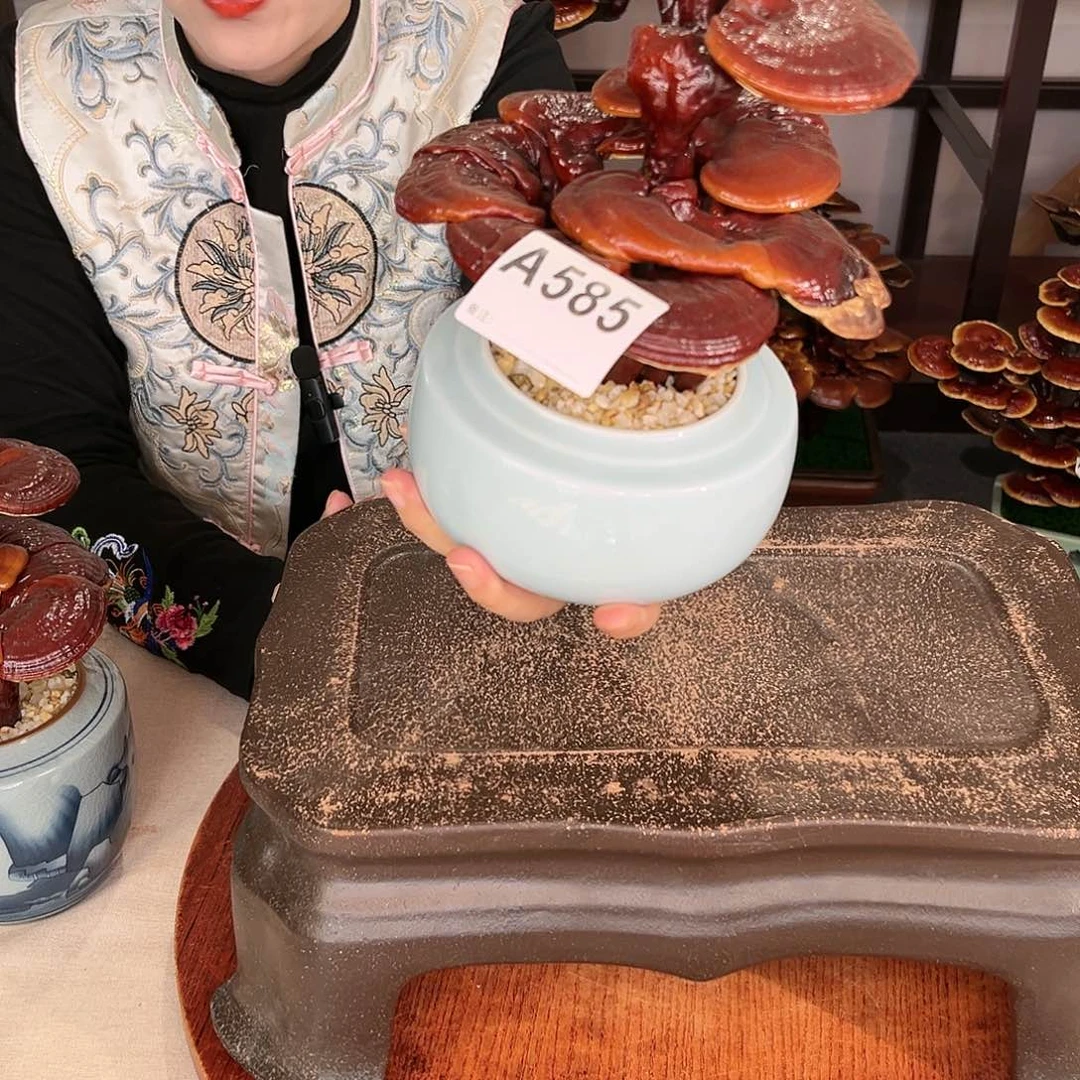 万事如意8888888888