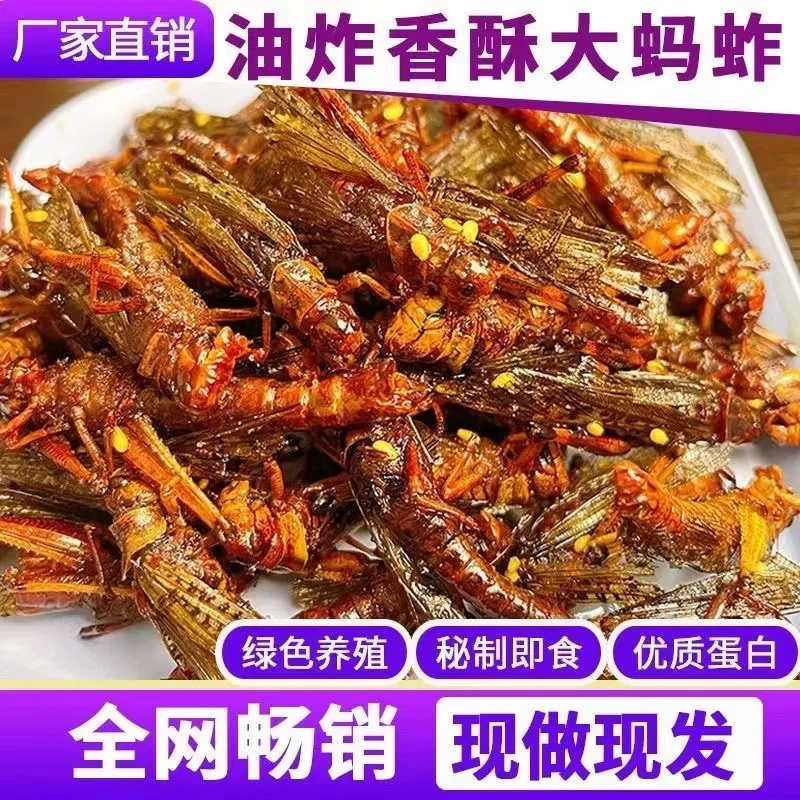 香酥蚂蚱油炸即食蝗虫食用小吃零食低卡脂虫子烧烤昆虫新鲜脆蚂蚱
