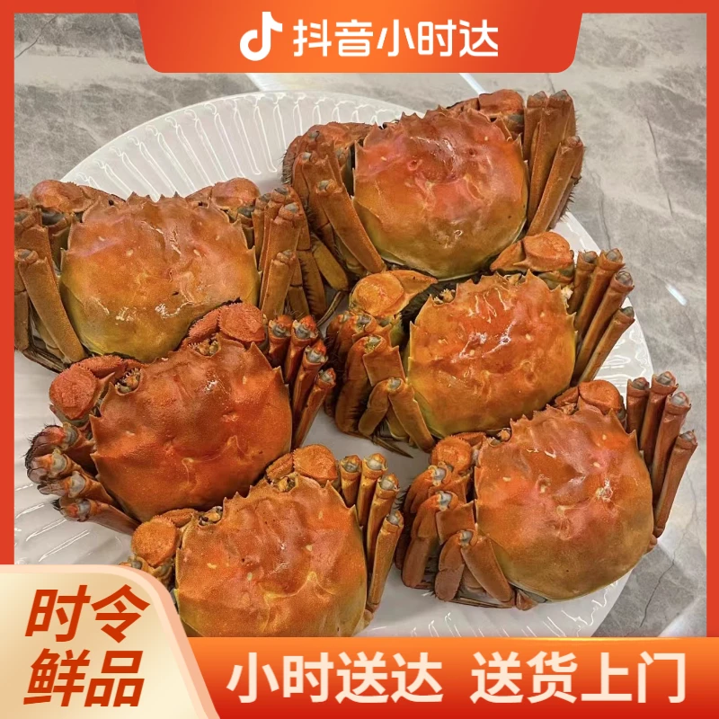 精品大闸蟹3.4-3.6两母蟹8只