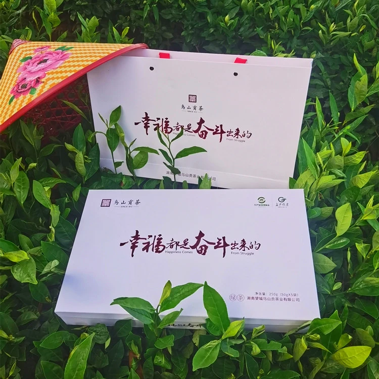 乌山贡茶-幸福毛尖(半斤装)