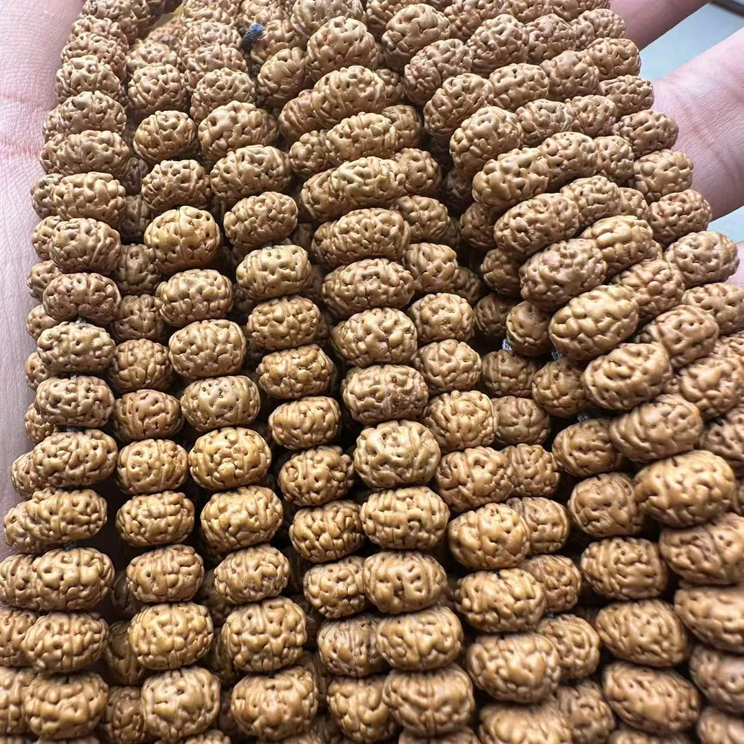 凡主播福利款金刚菩提六瓣树王长串12mm以上