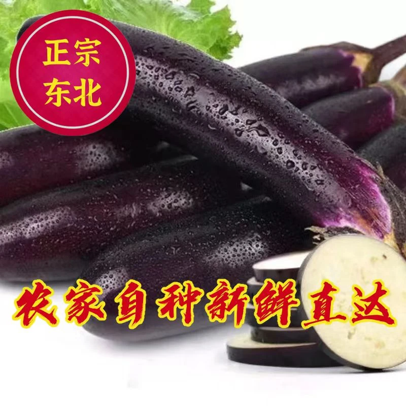 东北农家小菜园 陆地 紫裤紫把茄子 3斤