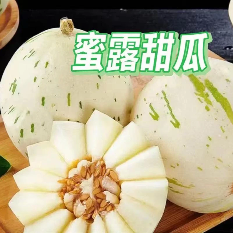 【东平好物】流星蜜露甜瓜新鲜采摘自然成熟香甜全国产品产地种植