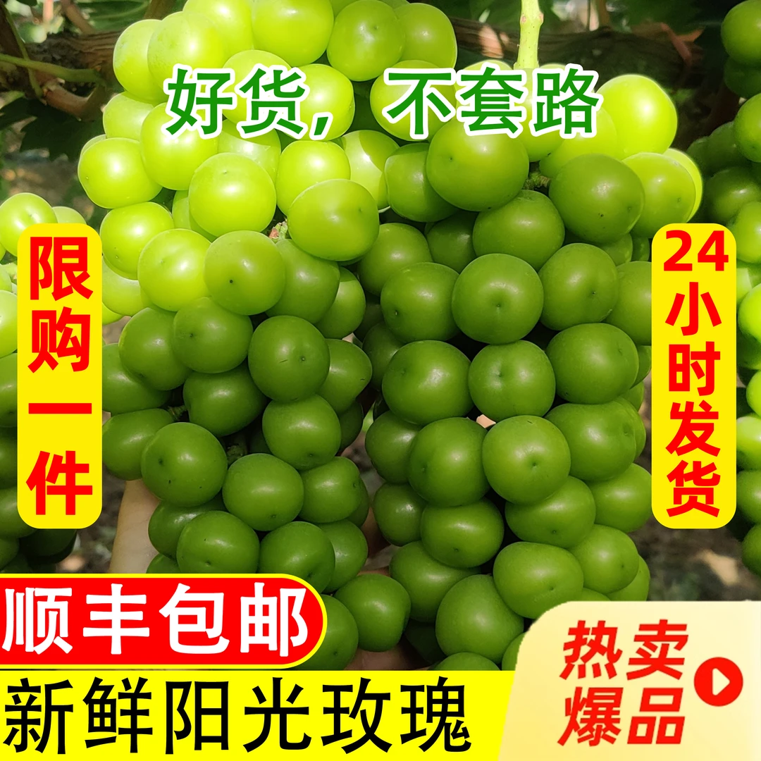 【顺丰包邮】现摘应季新鲜水果整箱无核晴王阳光玫瑰葡萄皮薄爆甜香