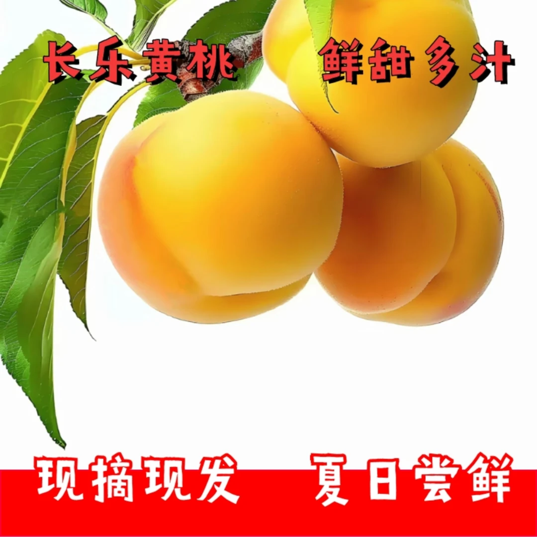【现摘先发】长乐农都新鲜应季露天黄桃
