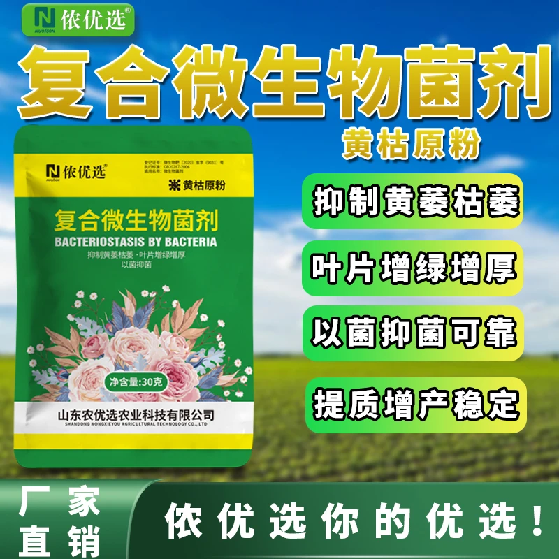 黄枯原粉微生物菌剂农用果树蔬菜植物长枝枯萎叶面肥增产抗病