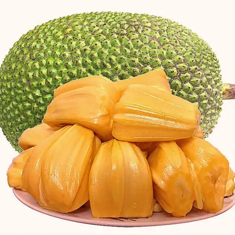 【AA果】越南菠萝蜜，不需要催熟，收到货就能吃。