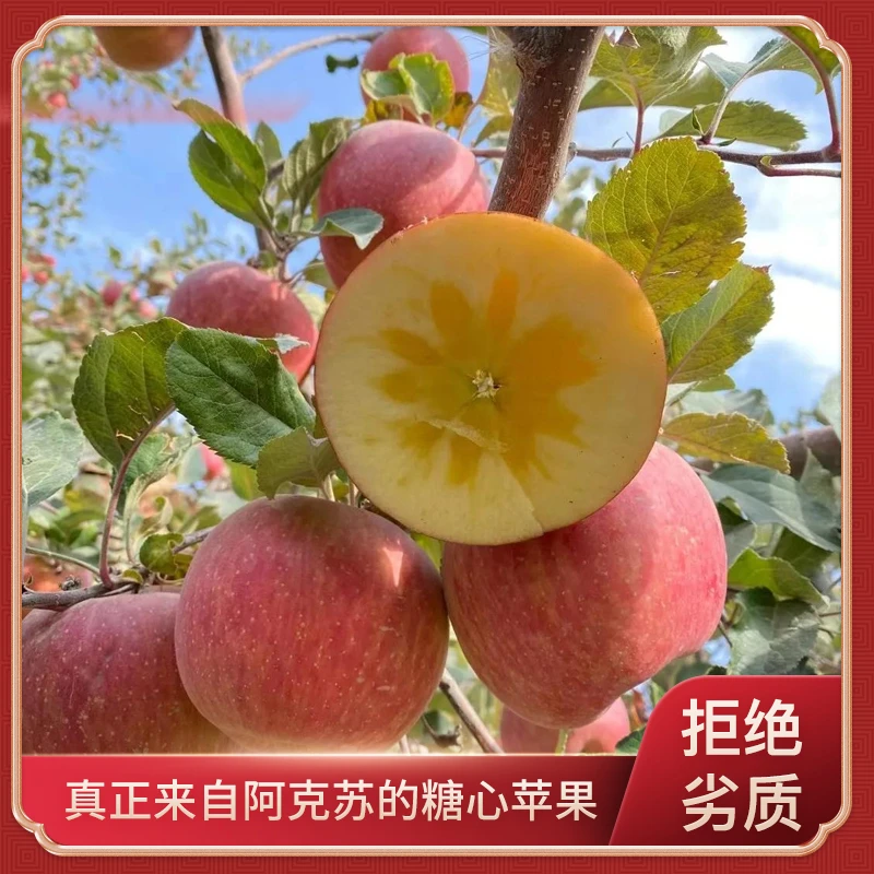 【新疆冰糖心苹果】正宗阿克苏红旗坡冰糖心苹果现摘现发坏果包赔