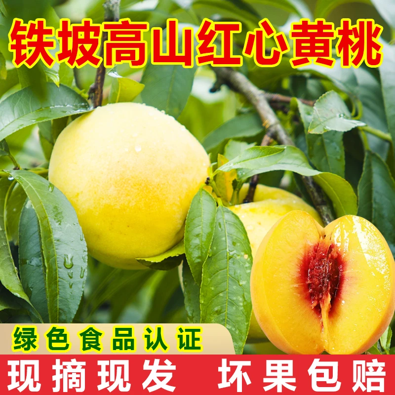 【现摘现发】湖南怀化高山红心黄桃新脆甜鲜水果绿色食品坏果包赔
