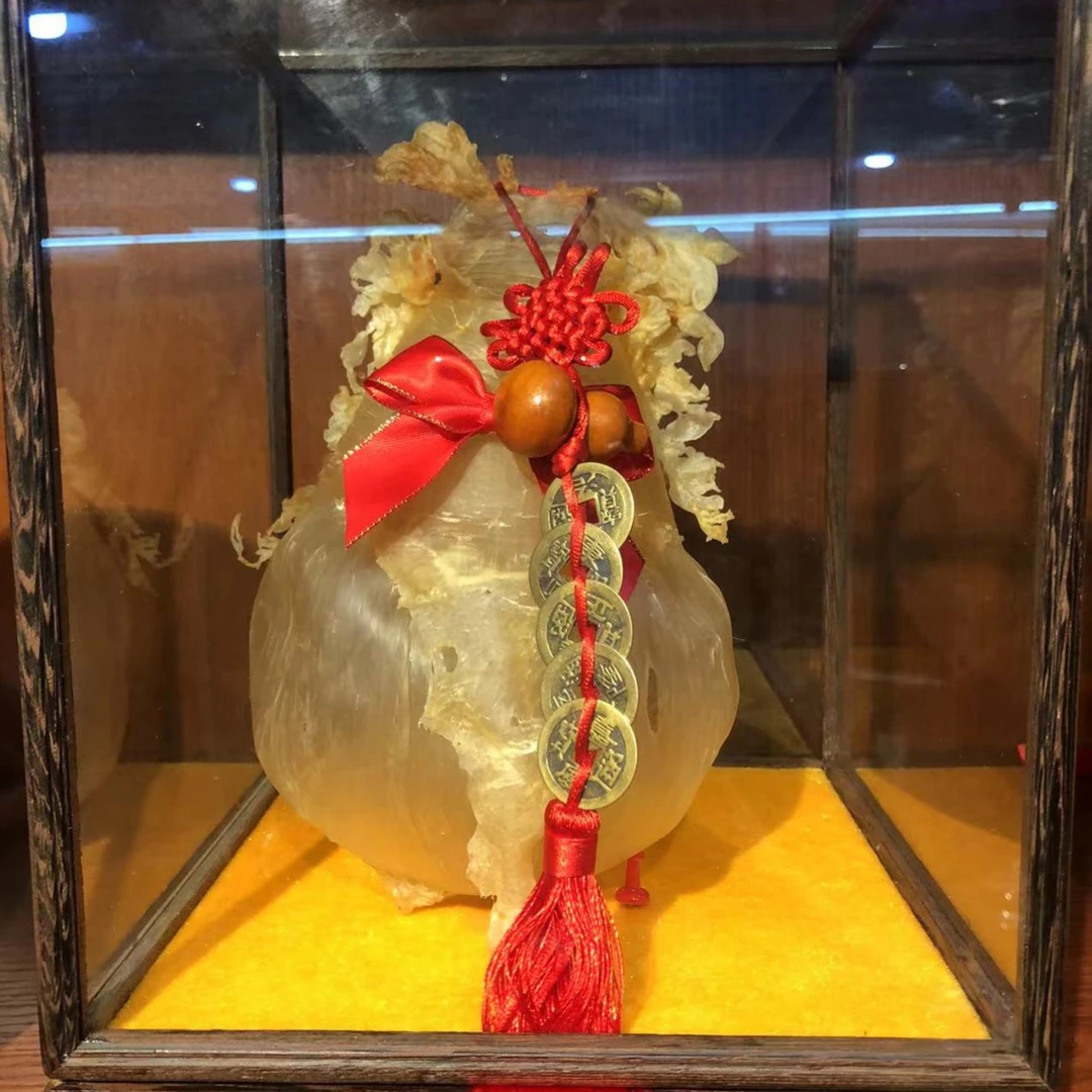 鱼胶补xxx【综合链接】干货正品鱼胶高品质花胶1-500克