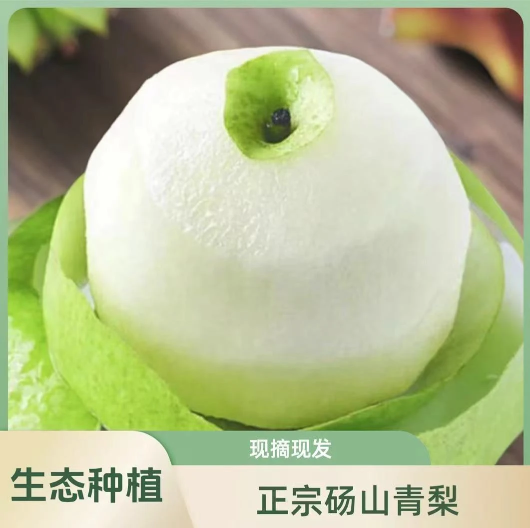 正宗砀山青皮皇冠梨皮薄酥脆多汁应季水果现摘现发带箱5斤包邮