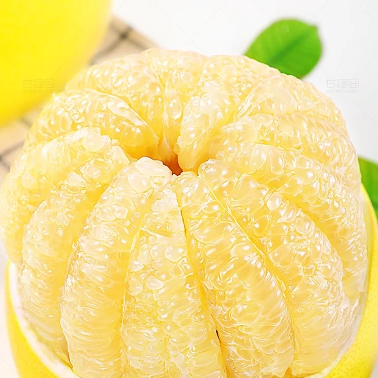 产地直销正宗平和白心蜜柚新鲜当季水果孕妇白肉柚子多汁整箱包邮