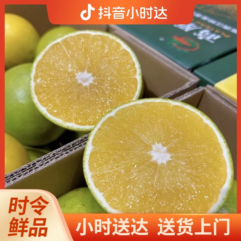 高原王子橙 冰糖口  甜度好  5粒装
