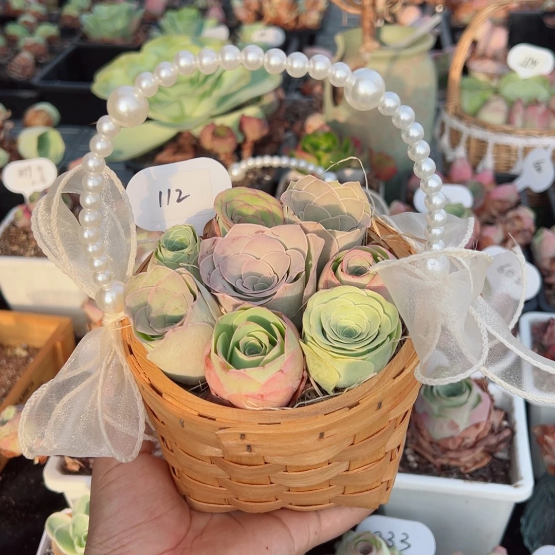 能****我112珍珠花篮八颗一组混搭。