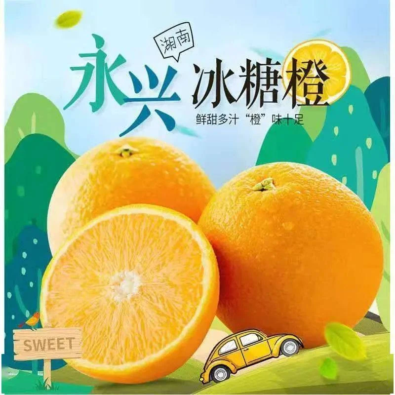 60mm现摘永兴冰糖橙