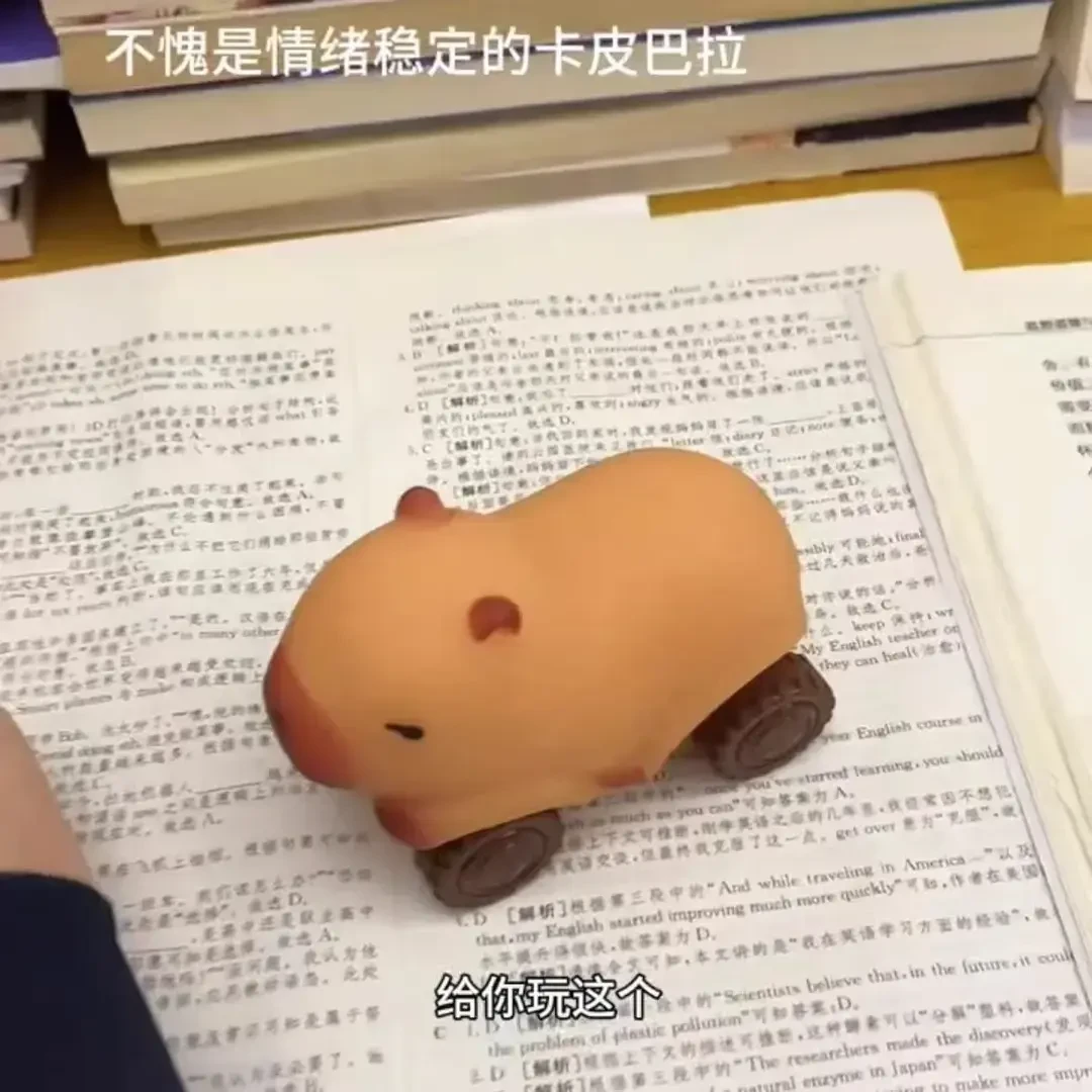 解压创意卡皮巴拉车可爱小汽车沙子水豚拉拉乐解压拉伸汽车减压DG