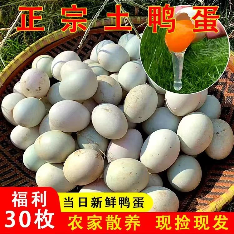 新鲜散养土鸭蛋绿壳批发实惠青皮农家麻鸭蛋自家养殖生鸭蛋一整箱