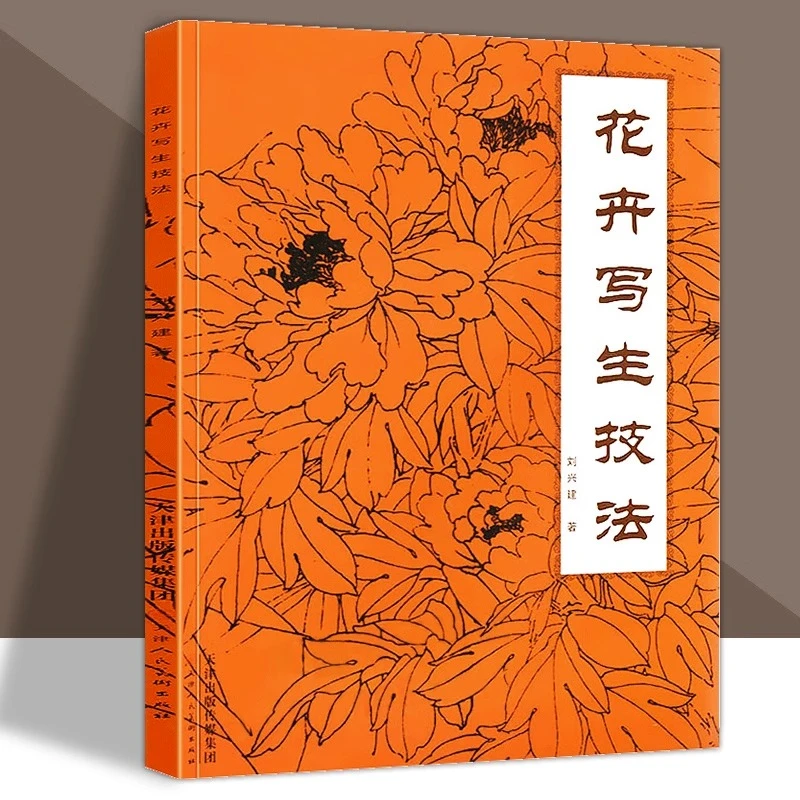 花卉写生技法中国画技法教材自学临摹白描工笔底稿线描基础入门