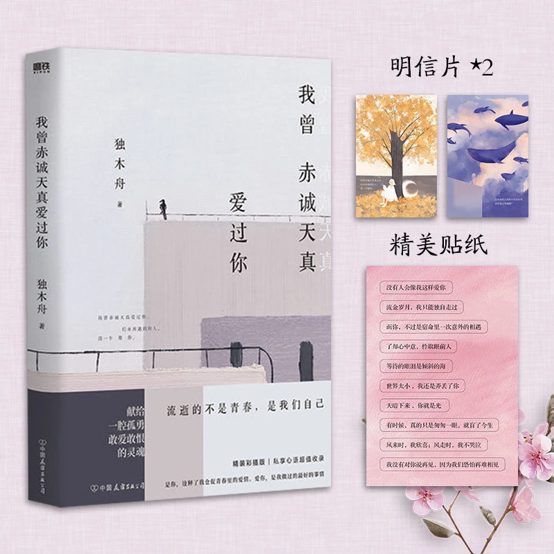 我曾赤诚天真爱过你 独木舟青春人气故事集一腔孤勇敢爱敢恨