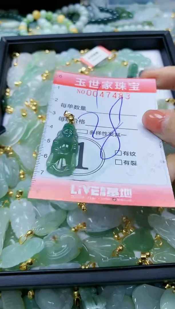 【闪购商品】翡翠颈饰未镶嵌闪购0047483