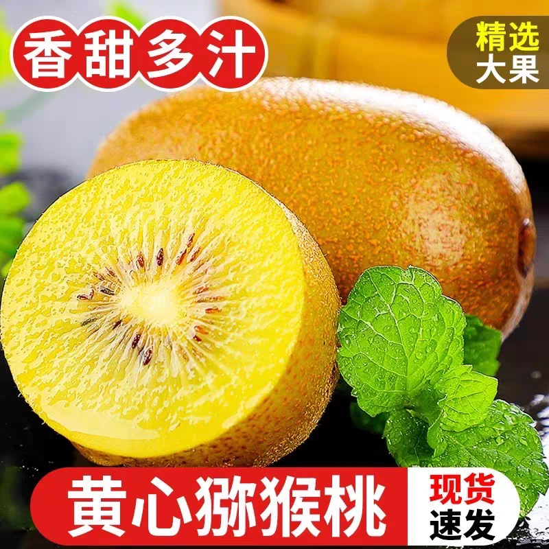 四川蒲江精品黄心猕猴桃新鲜水果果园现摘现发孕妇水果奇异果