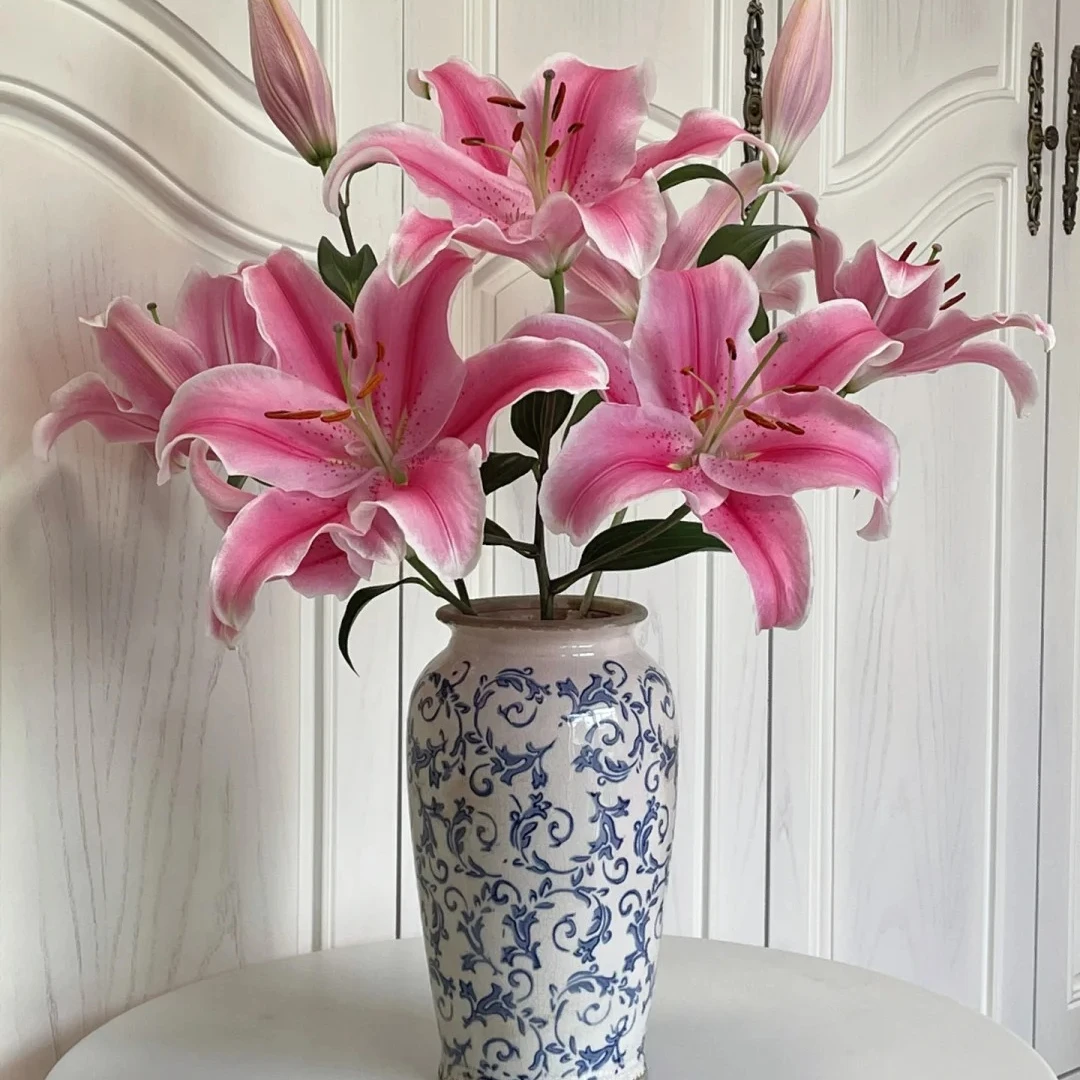 【香水百合】云南源头大花苞香水百合