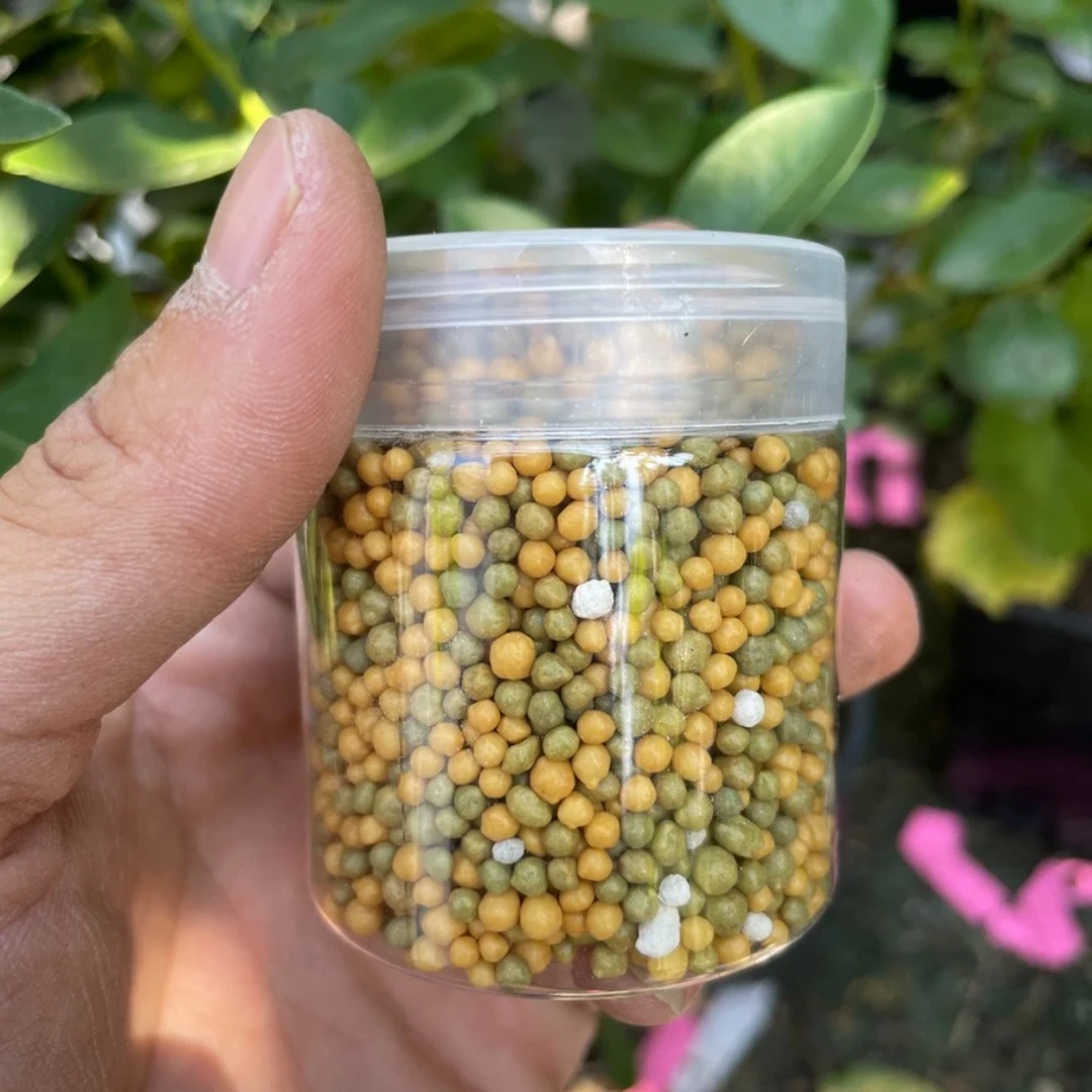 语凝的花园 缓释肥一瓶