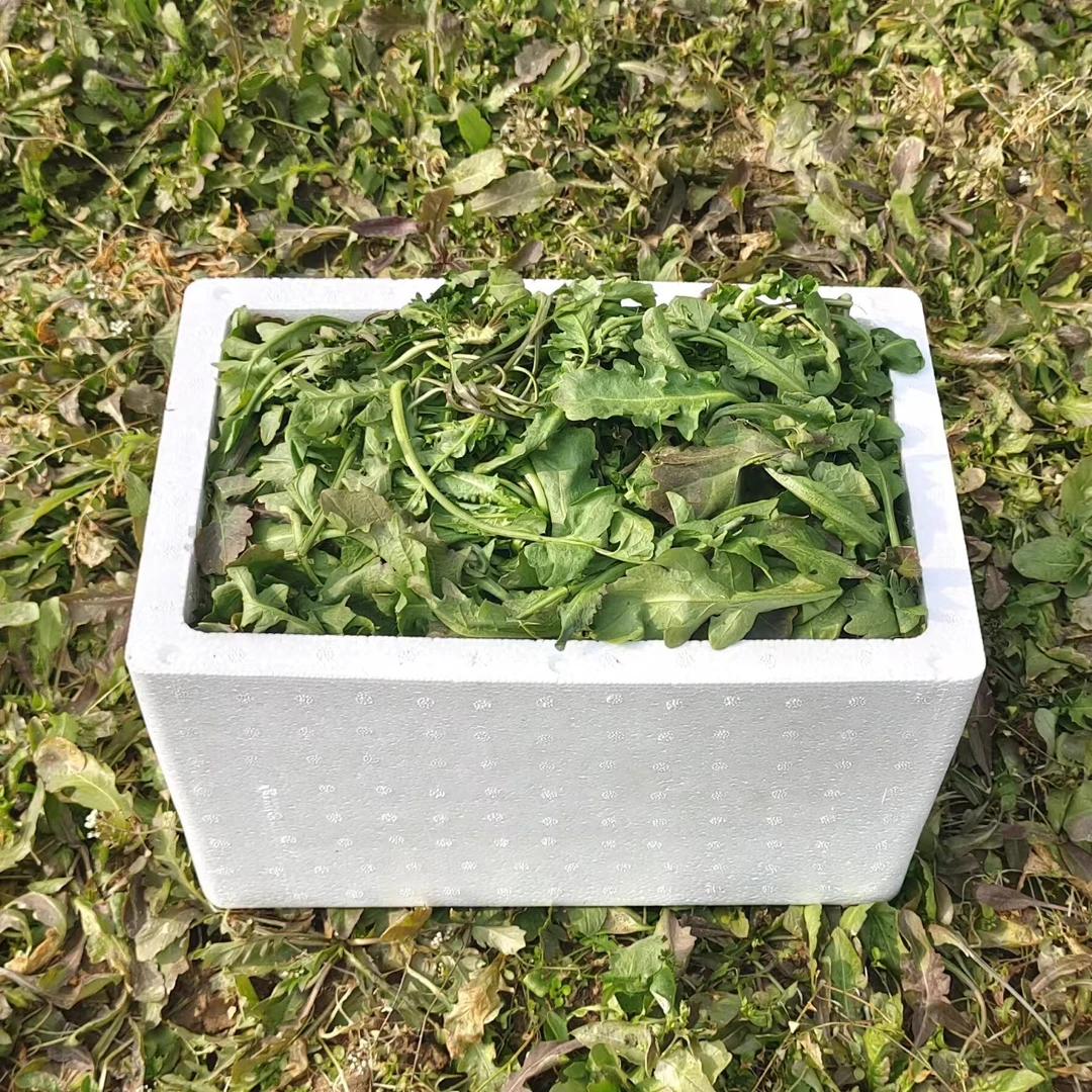 【泡沫箱南方高温 北方零下专拍】荠菜新鲜农家现摘现发荠荠菜4斤