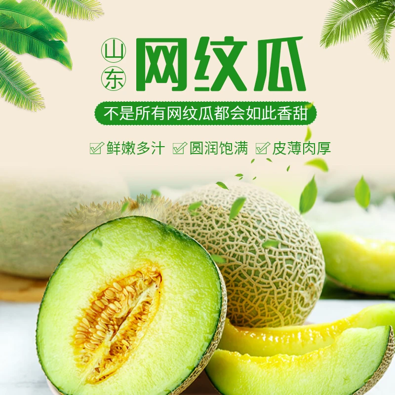 【网纹瓜】山东网纹密瓜4.5-5斤应季水果软糯香甜基地直采