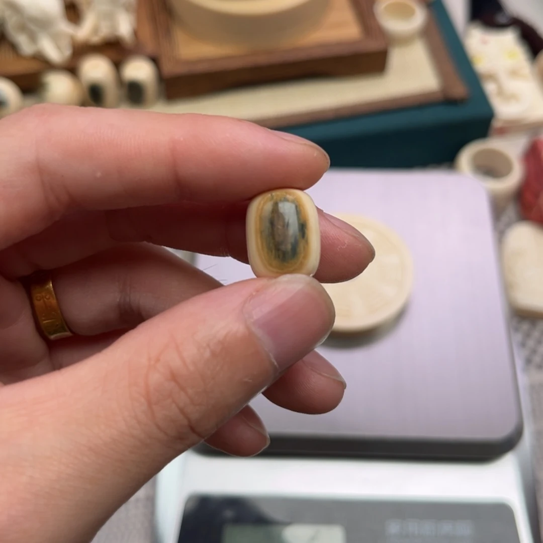 【闪购商品】猛犸牙根雕
