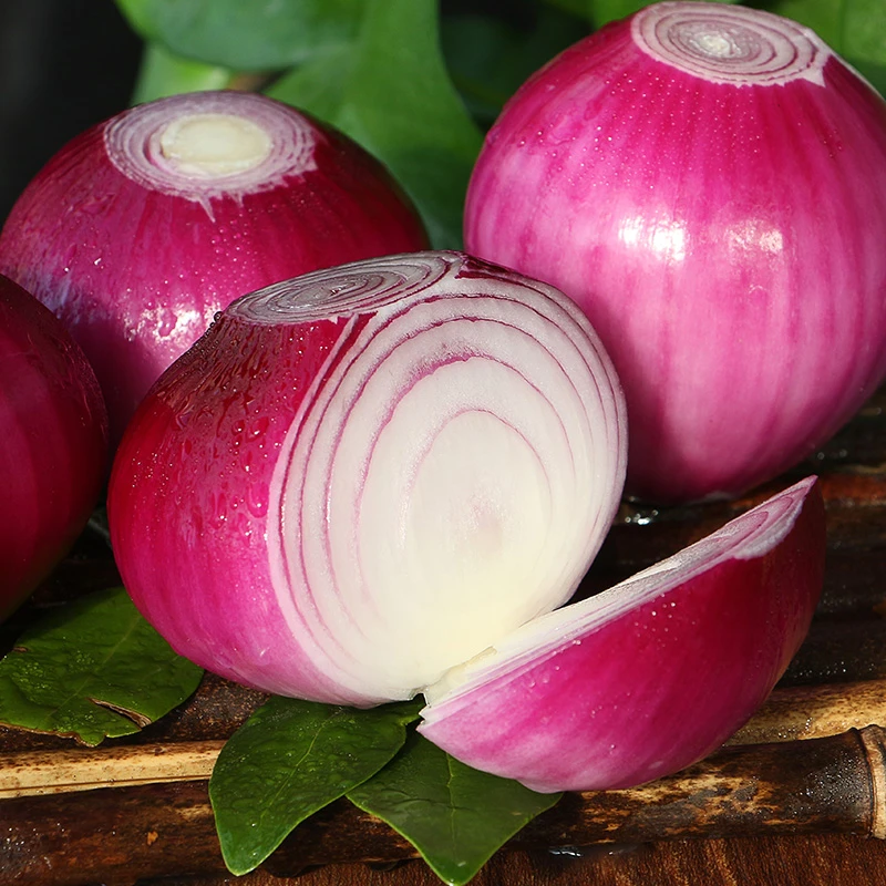 贵州新鲜紫皮洋葱净重9斤装