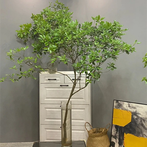 雀舌杜鹃水培懒人鲜切枝条室内水养精致寓意绿植吊钟盆栽开花养殖