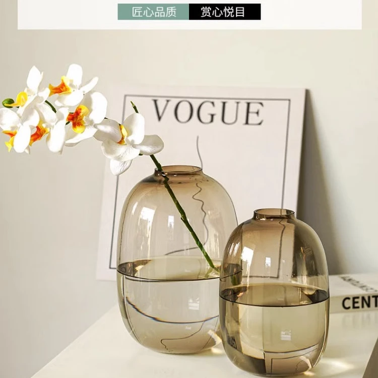 高级感花瓶摆件玻璃水培吊钟马醉木雪柳水养插花鲜花落地装饰客厅