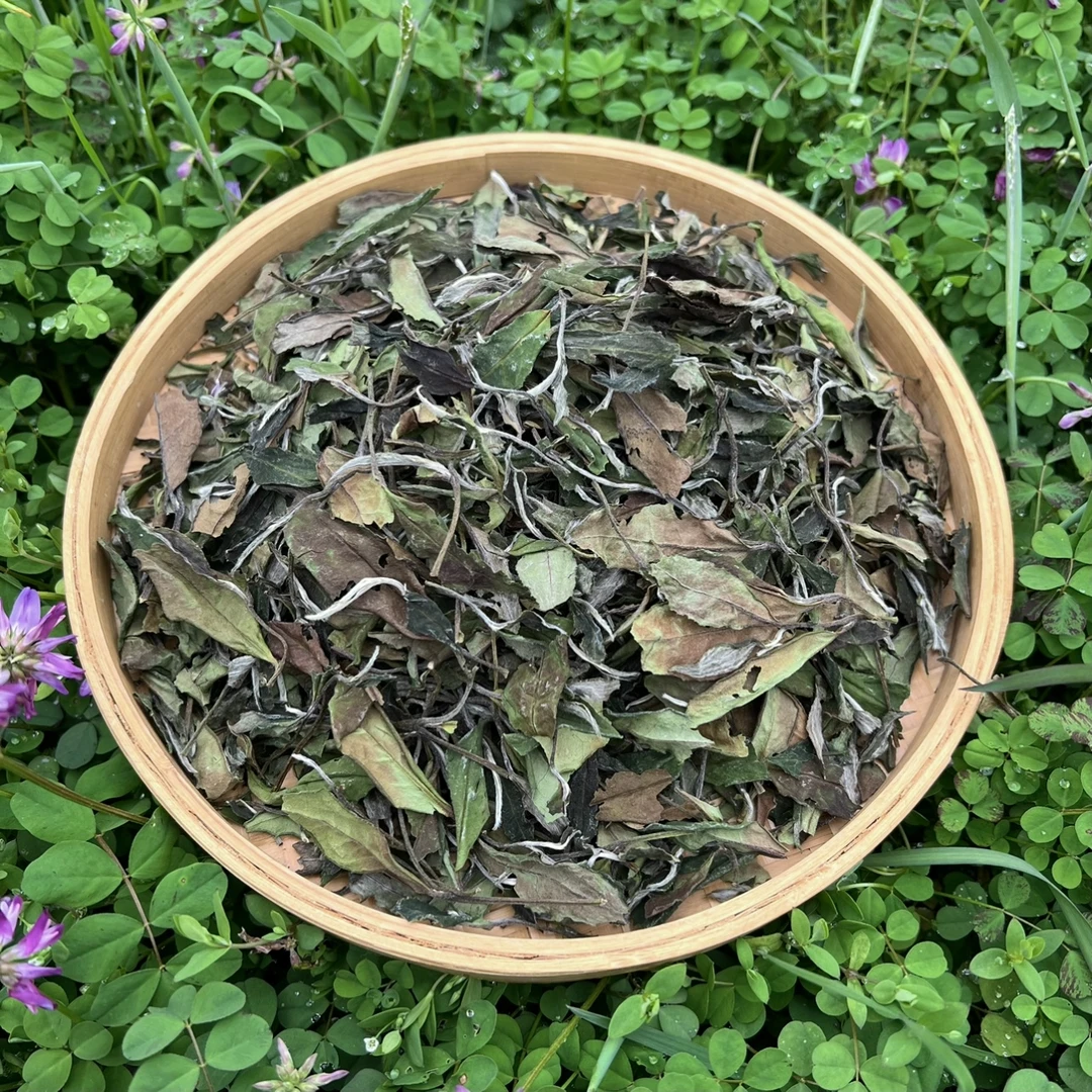 【23寒露】2023年/寒露寿眉/福鼎白茶/磻溪纯料/散茶/泡饮