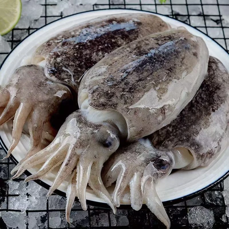 【顺丰包邮】年货上等海鲜大墨鱼生鲜烧烤红烧卤年夜饭必备鲜嫩美味
