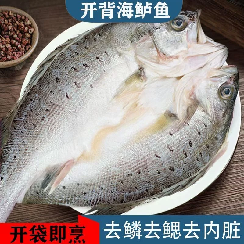 【顺丰包邮】秋天围炉开背鲈鱼新鲜烹饪冷冻食用鲜嫩去鳞美味鲜美