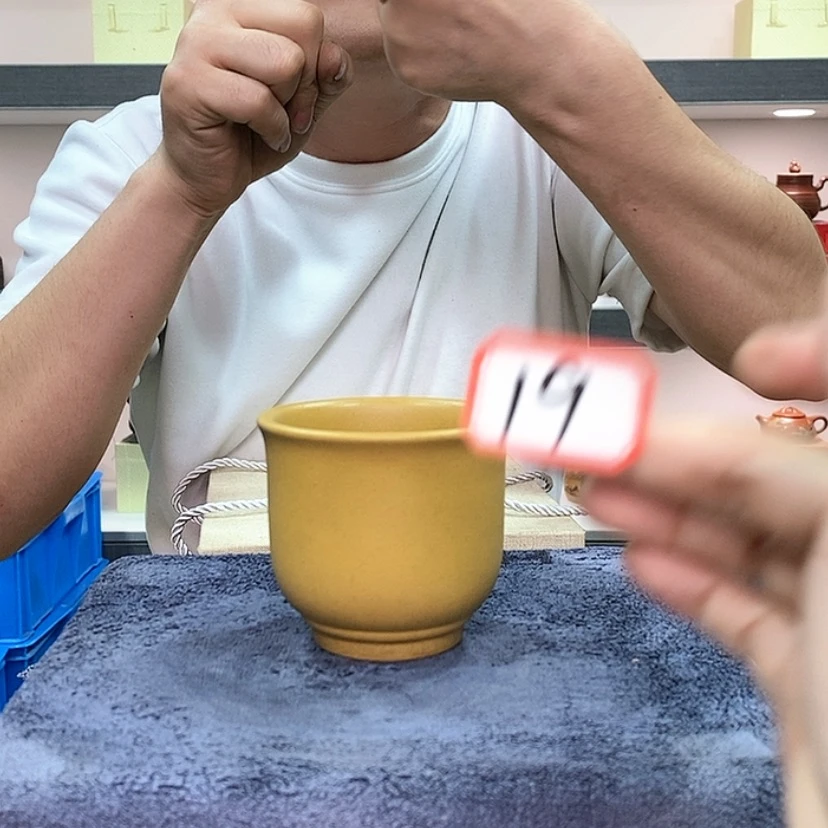 【闪购商品】紫砂茶壶19