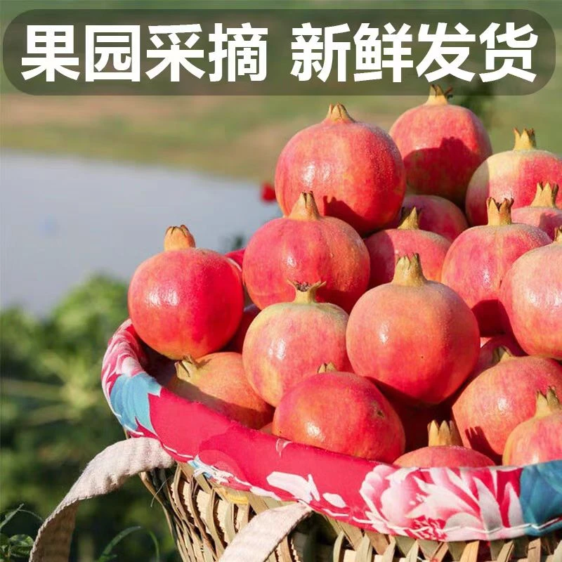 【农家自种】高原突尼斯软籽石榴甜蜜多汁新鲜现发多仓发货