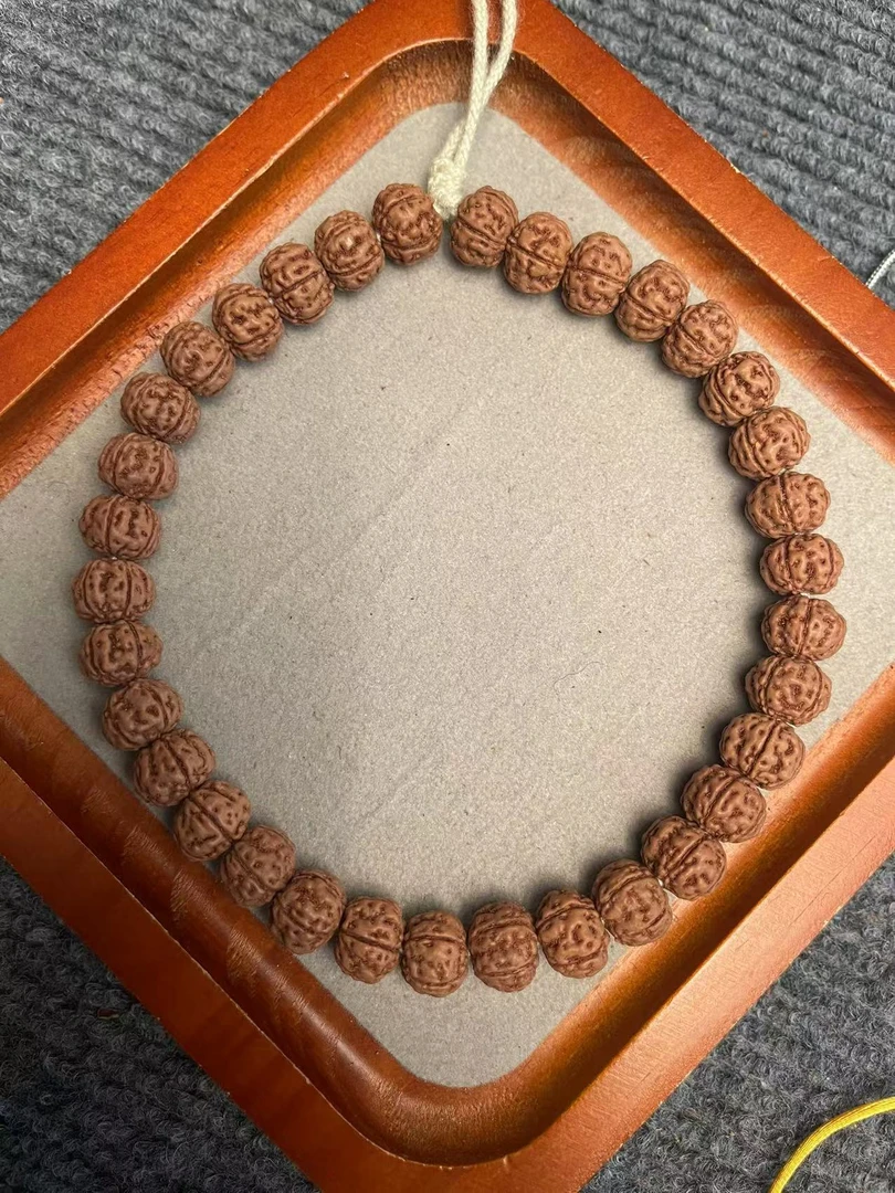 纯血一代老树王单圈小金刚菩提定制级