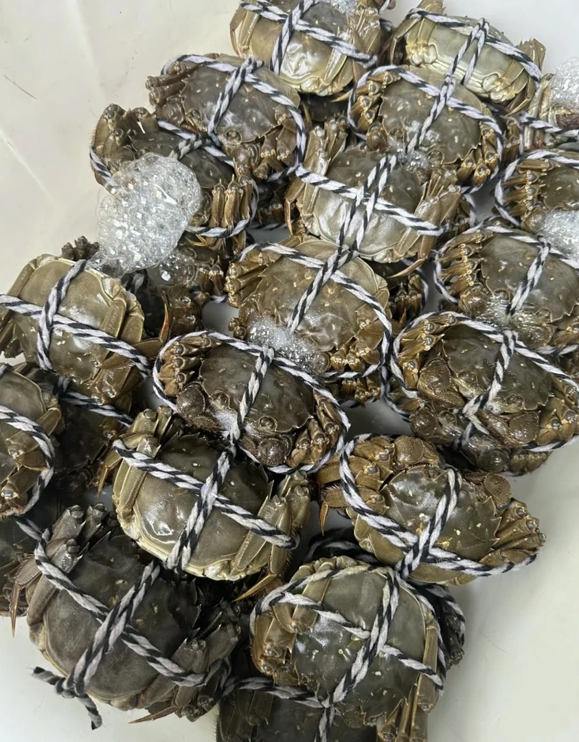 炸2.5母/鲜活大闸蟹8只（每只110-125克左右）直播间点关注解锁隐藏福利