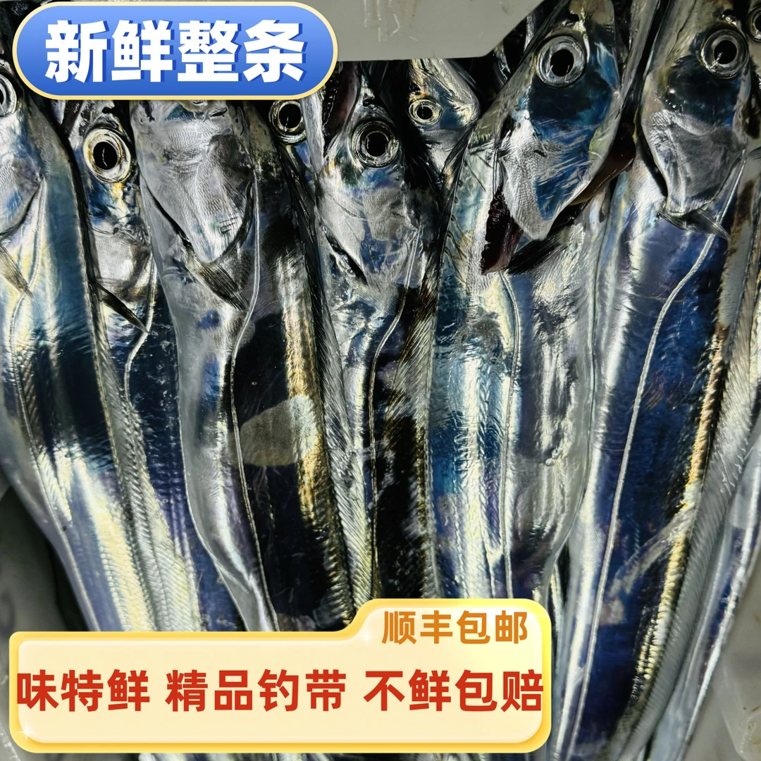 【老李海鲜】6-7两/条（大） 净重4斤 深海钓带油带鱼
