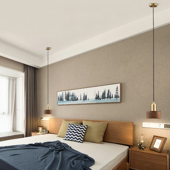 卧室床头小吊灯胡桃木新中式现代简约轻奢创意主卧极简北欧吊线灯