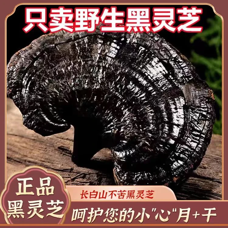 五哥家| 黑灵芝干货滋补养生源头无硫长切片搭配枸杞煲汤泡水
