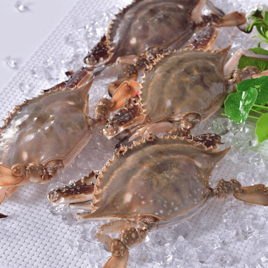 【特】 拉花母梭子蟹  3-6两/只 3斤装 顺丰省内充氧【保鲜不保活】