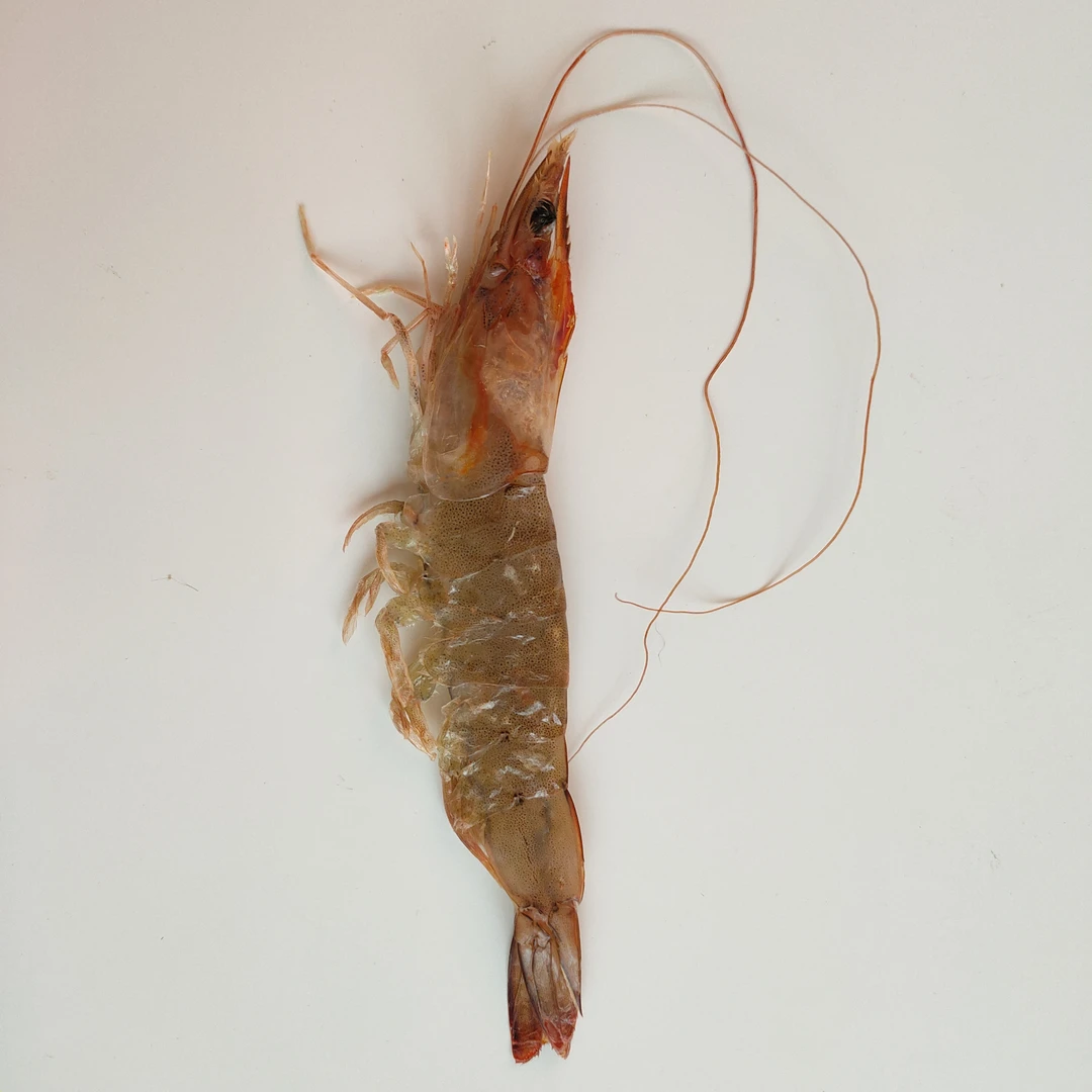 [羊口领鲜水产]正宗传统老做法盐培压虾(30只左右1斤)