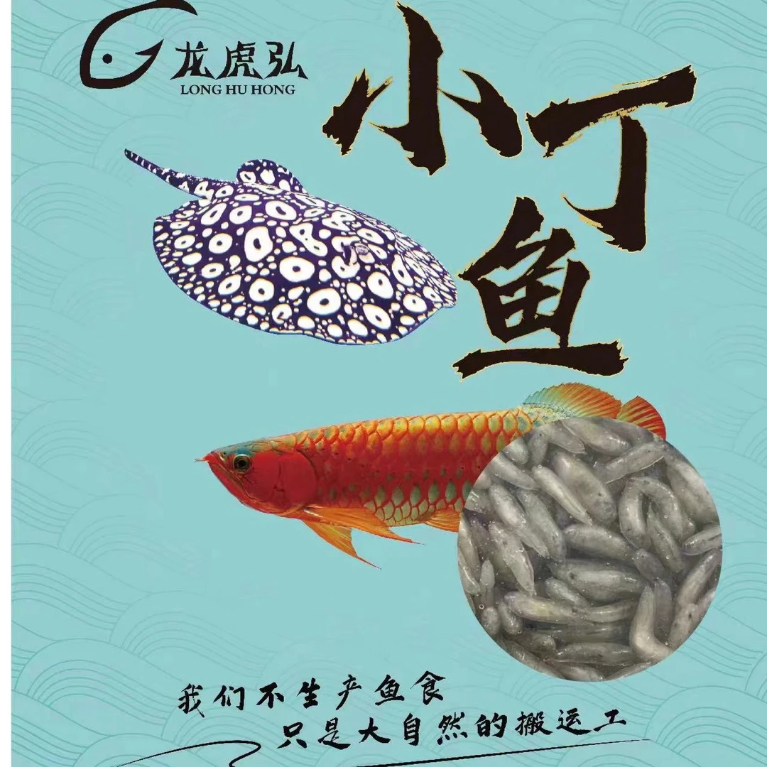 观赏鱼饲料丁鱼虾虎鱼下沉鱼不易掉麟营养丰富龙鱼鱼食魟鱼鱼食